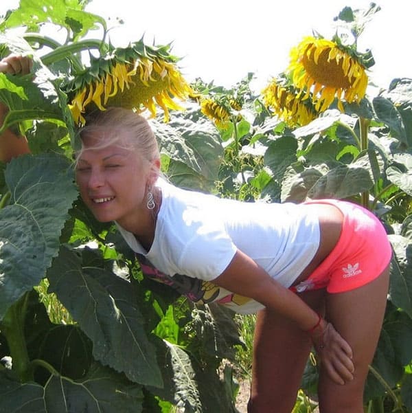 Секс с молодой украинкой в подсолнуховом поле 8 фото